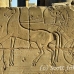 temple_luxor_lux_h_0171_egy3656.jpg